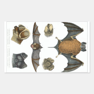 Sticker Rectangulaire 19e impression de chaume C.