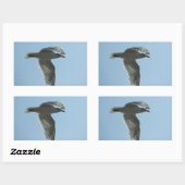 STICKER RECTANGULAIRE 2367 (Feuille)