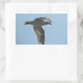 STICKER RECTANGULAIRE 2367 (Sac)