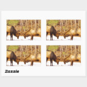 Sticker Rectangulaire 2~ deux Bull Elk dans la neige (Feuille)