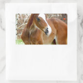STICKER RECTANGULAIRE 2CUT HORSE FOAL BÉBÉ PONY (Sac)