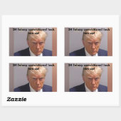 Sticker Rectangulaire 34 condamnations pour crime l'enferment Donald Tru (Feuille)