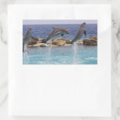 Sticker Rectangulaire 3 dauphins sauteurs (Sac)