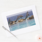 Sticker Rectangulaire 3 dauphins sauteurs (Enveloppe)