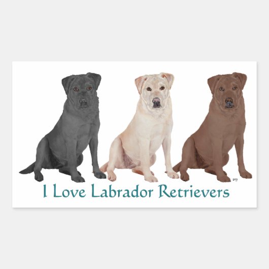 Sticker Rectangulaire 3Labs (Devant)