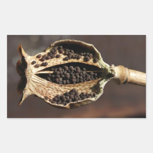 Sticker Rectangulaire À l'intérieur d'une poitrine de fleurs de pavot (Devant)