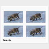 Sticker Rectangulaire Abeille fourragère (Feuille)