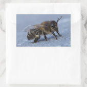 Sticker Rectangulaire Abeille fourragère (Sac)