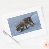 Sticker Rectangulaire Abeille fourragère (Enveloppe)