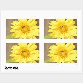 Sticker Rectangulaire Abeille sur tournesol (Feuille)