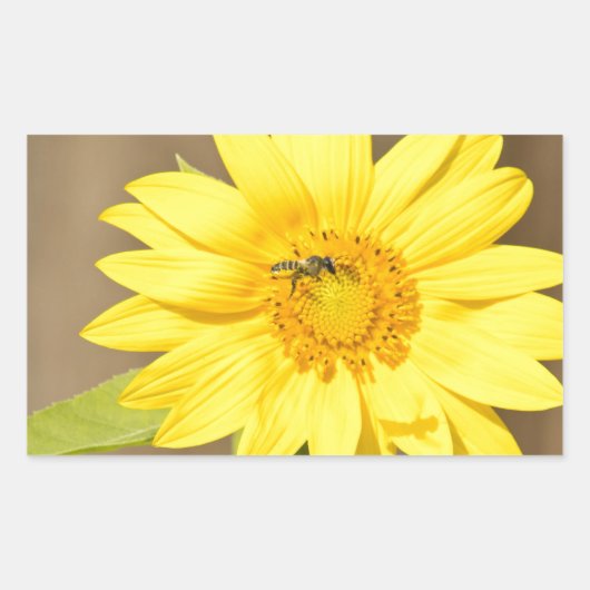 Sticker Rectangulaire Abeille sur tournesol (Devant)