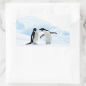 Sticker Rectangulaire Adelie Penguins (Sac)