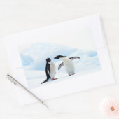 Sticker Rectangulaire Adelie Penguins (Enveloppe)