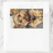 Sticker Rectangulaire Adorable (Sac)