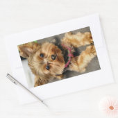Sticker Rectangulaire Adorable (Enveloppe)