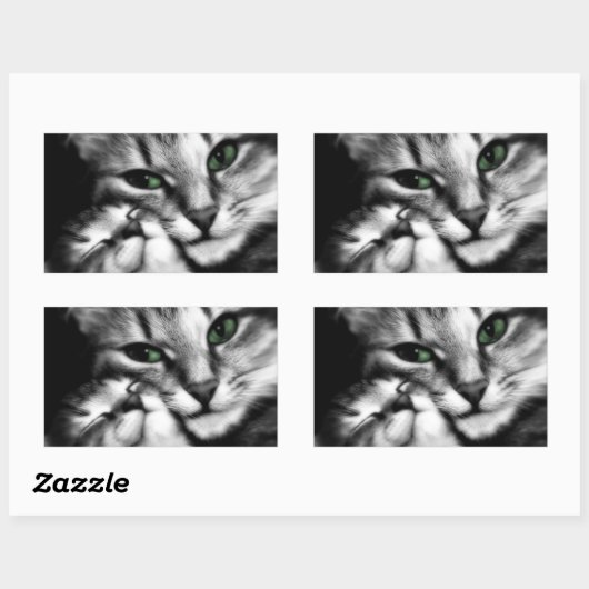 Sticker Rectangulaire Affection Feline (Feuille)