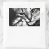 Sticker Rectangulaire Affection Feline (Sac)
