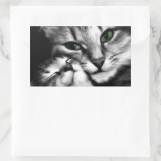Sticker Rectangulaire Affection Feline (Sac)
