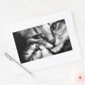 Sticker Rectangulaire Affection Feline (Enveloppe)
