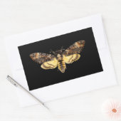 Sticker Rectangulaire african death head moth butterfly insect Acheronti (Enveloppe)