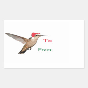 Sticker Rectangulaire Aide aux colibris