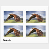 Sticker Rectangulaire Aigle (Feuille)
