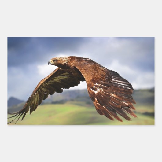 Sticker Rectangulaire Aigle (Devant)