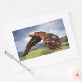 Sticker Rectangulaire Aigle (Enveloppe)