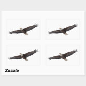 Sticker Rectangulaire Aigle à tête blanche (Feuille)