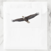 Sticker Rectangulaire Aigle à tête blanche (Sac)