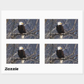 Sticker Rectangulaire aigle américain (Feuille)
