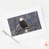 Sticker Rectangulaire aigle américain (Enveloppe)