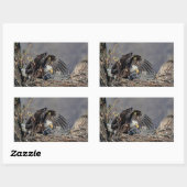Sticker Rectangulaire Aigle avec son bébé (Feuille)