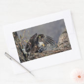 Sticker Rectangulaire Aigle avec son bébé (Enveloppe)