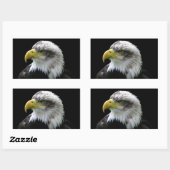 Sticker Rectangulaire Aigle de Bald (Feuille)