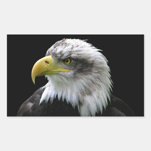 Sticker Rectangulaire Aigle de Bald (Devant)