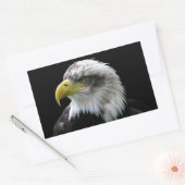 Sticker Rectangulaire Aigle de Bald (Enveloppe)