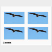 Sticker Rectangulaire Aigle de Bald en vol (Feuille)