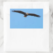 Sticker Rectangulaire Aigle de Bald en vol (Sac)