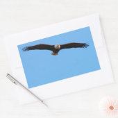 Sticker Rectangulaire Aigle de Bald en vol (Enveloppe)