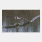 Sticker Rectangulaire Aigle de Bald en vol (Devant)
