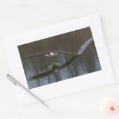 Sticker Rectangulaire Aigle de Bald en vol (Enveloppe)