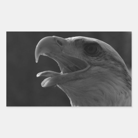 Sticker Rectangulaire Aigle noir et blanc (Devant)