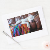 Sticker Rectangulaire Aimer Pitbull Chien Dormir sur le canapé (Enveloppe)
