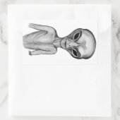 Sticker Rectangulaire Alien gris, je veux croire (Sac)