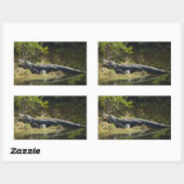 Sticker Rectangulaire Alligator américain se reposant le long d'une zone (Feuille)