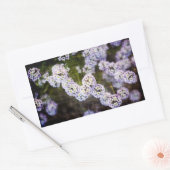 Sticker Rectangulaire Alyssum doux en Grunge (Enveloppe)