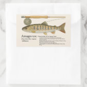 Sticker Rectangulaire Amago (Oncorhynchus masou ishikawae) – English (Sac)