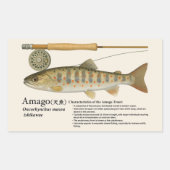 Sticker Rectangulaire Amago (Oncorhynchus masou ishikawae) – English (Devant)