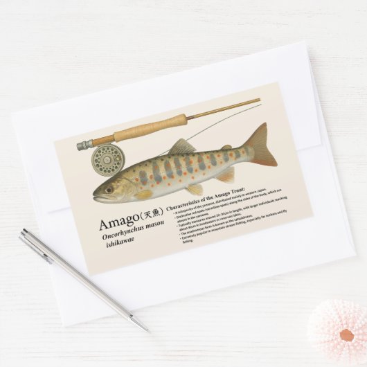 Sticker Rectangulaire Amago (Oncorhynchus masou ishikawae) – English (Enveloppe)